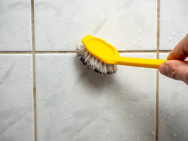 Best Emergency Mold Remediation in Chicago Ridge, IL