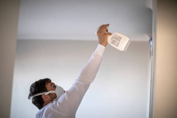 Best Basement Mold Remediation in Chicago Ridge, IL