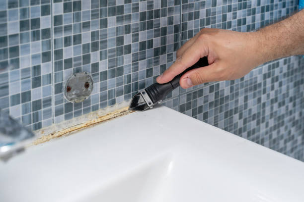 Chicago Ridge, IL Mold Remediation Company