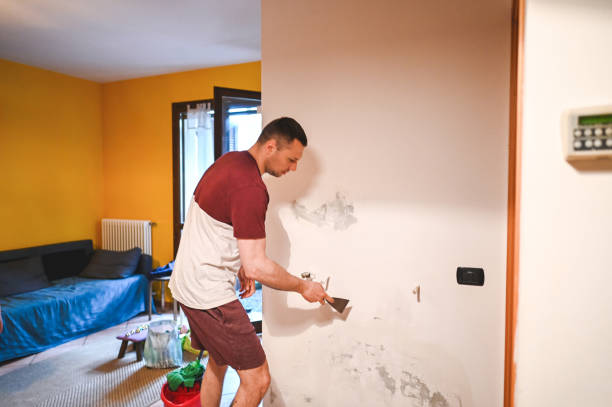 Best HVAC Mold Remediation in Chicago Ridge, IL